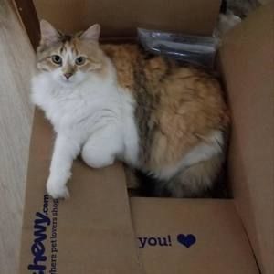 Meet your Posher, Sandy